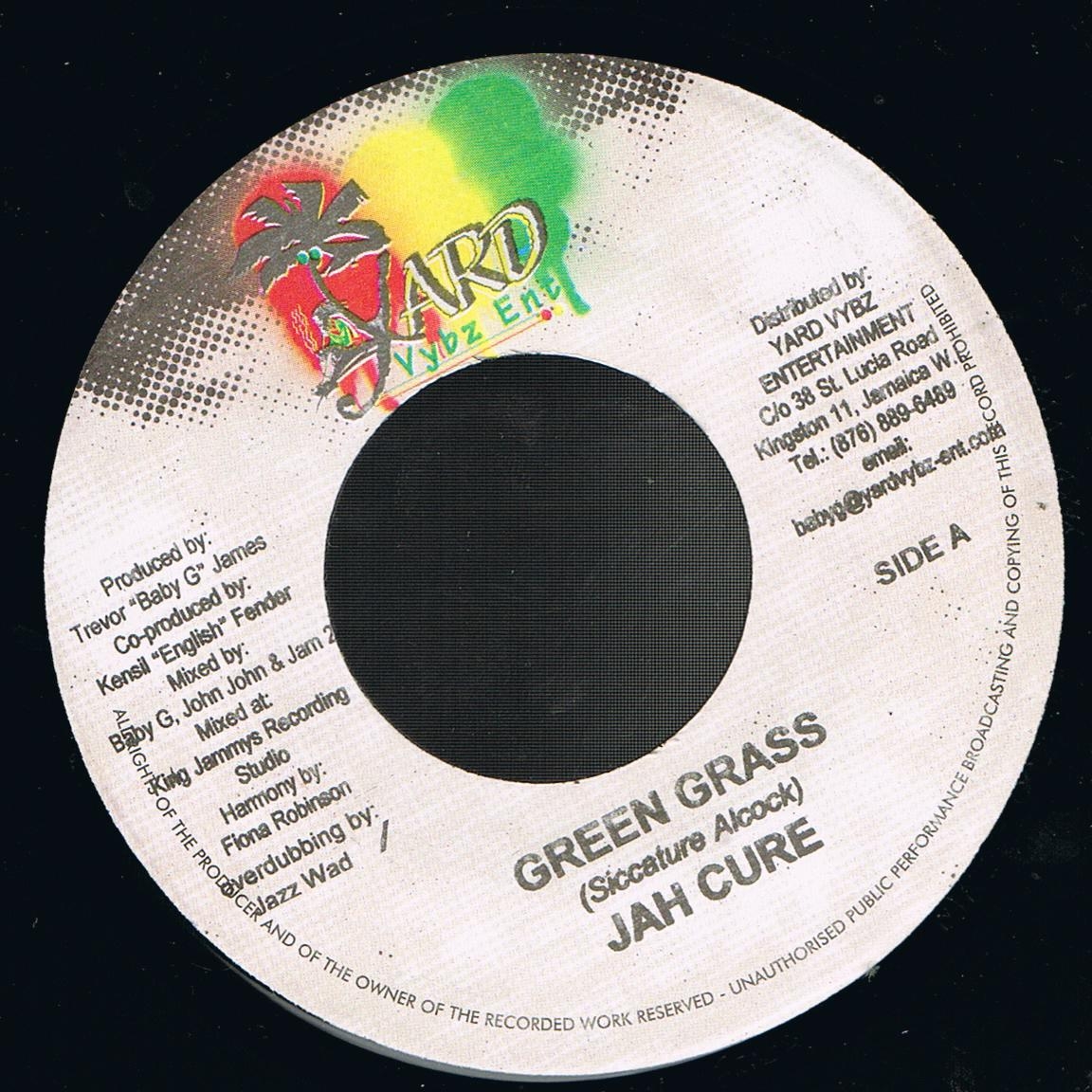 Jah Cure - Green Grass (7")