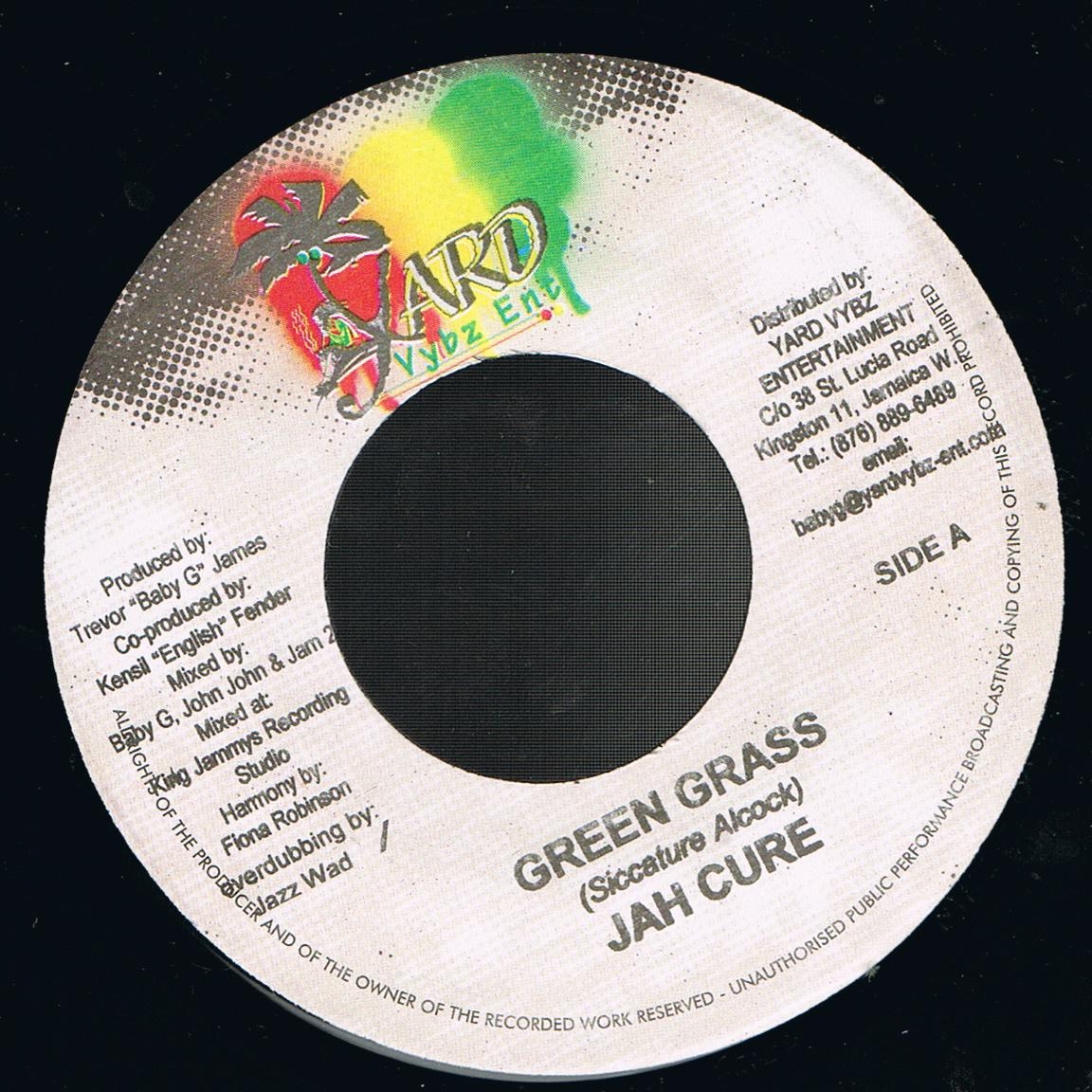 Jah Cure - Green Grass (7")