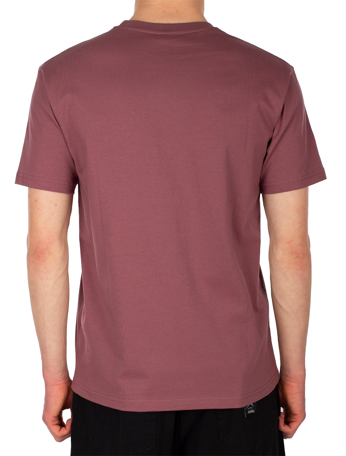 Iriedaily Peaceride Emb Tee in Plum