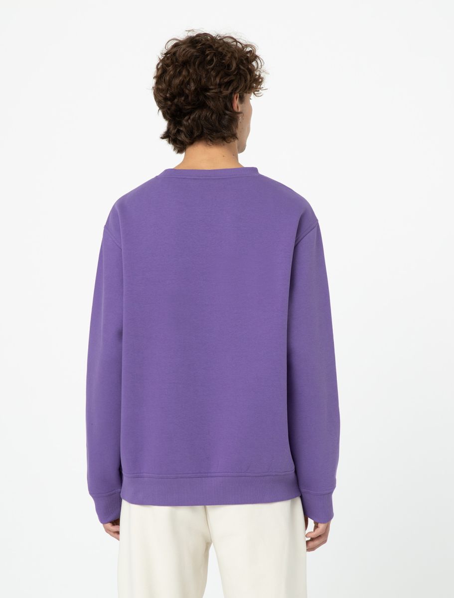 Dickies garden Plain Sweatshirt in Imperial Palast 