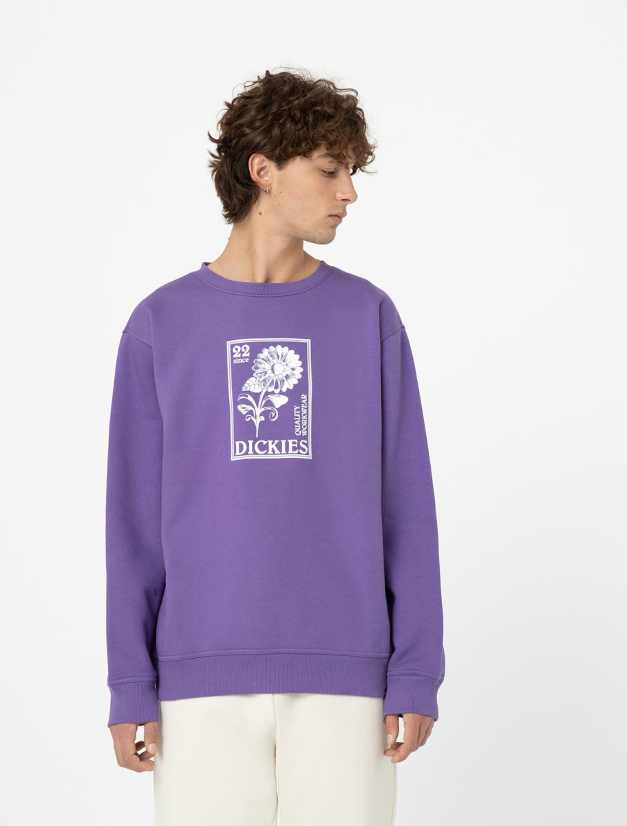 Dickies garden Plain Sweatshirt in Imperial Palast 