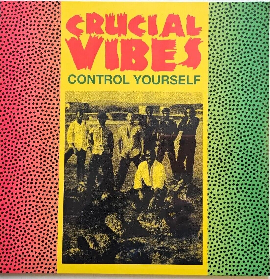 Crucial Vibes - Control Yourself (LP)   