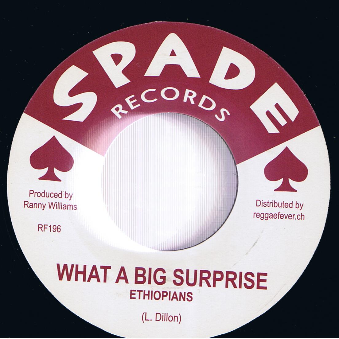 The Ethiopians - What A Big Surprise / Winston Shan - Treasure Of Love (7")