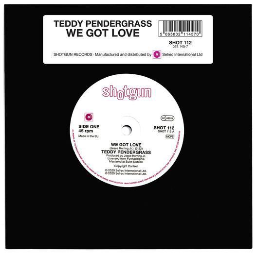 Teddy Pendergrass - We Got Love / Should I Go Or Should I Stay (7")