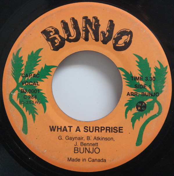 Bunjo - What A Surprise / Version (7")