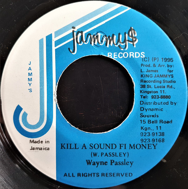 Wayne Passley - Kill A Sound Fi Money / Version (7")