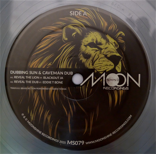 Dubbing Sun, Caveman Dub, Small Town Dubz – Reveal The Lion / Babylon A Fall  (12")     