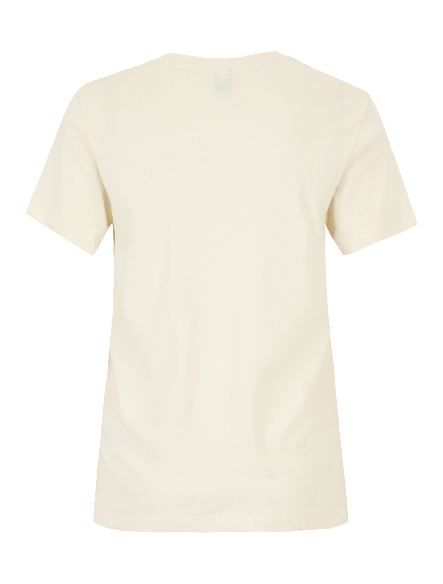 Iriedaily Stitch Flowers T-Shirt (Undyed)