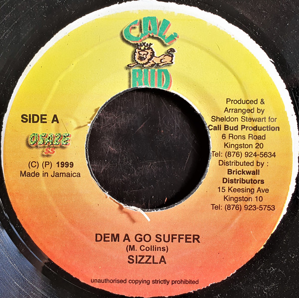 Sizzla / Front Page  – Dem A Go Suffer / Zion  (7")        