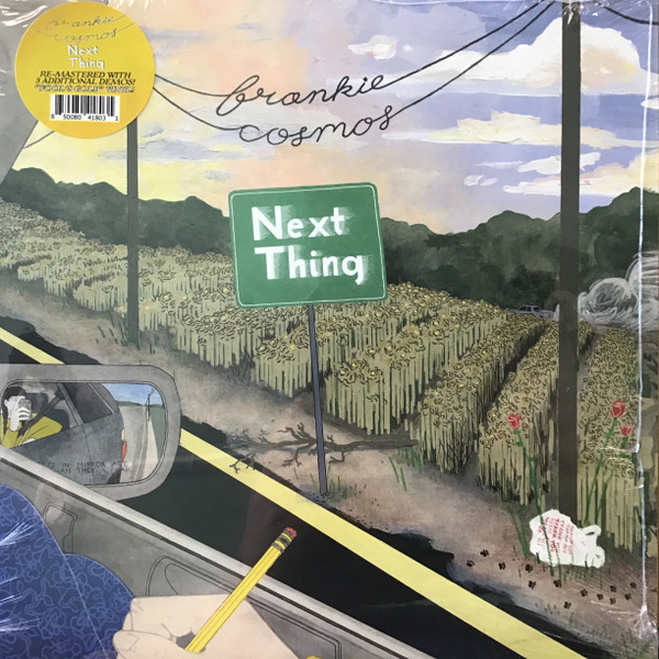 Frankie Cosmos - Next Thing (LP)