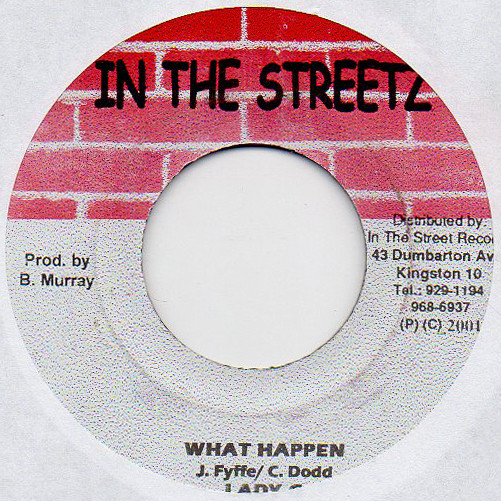 Lady G – What Happen / Fantan Mojah - They Don't Care About Us (7") 