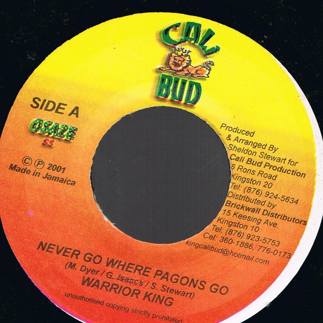 Warrior King - Never Go Where Pagons Go / Tune In Version (7")