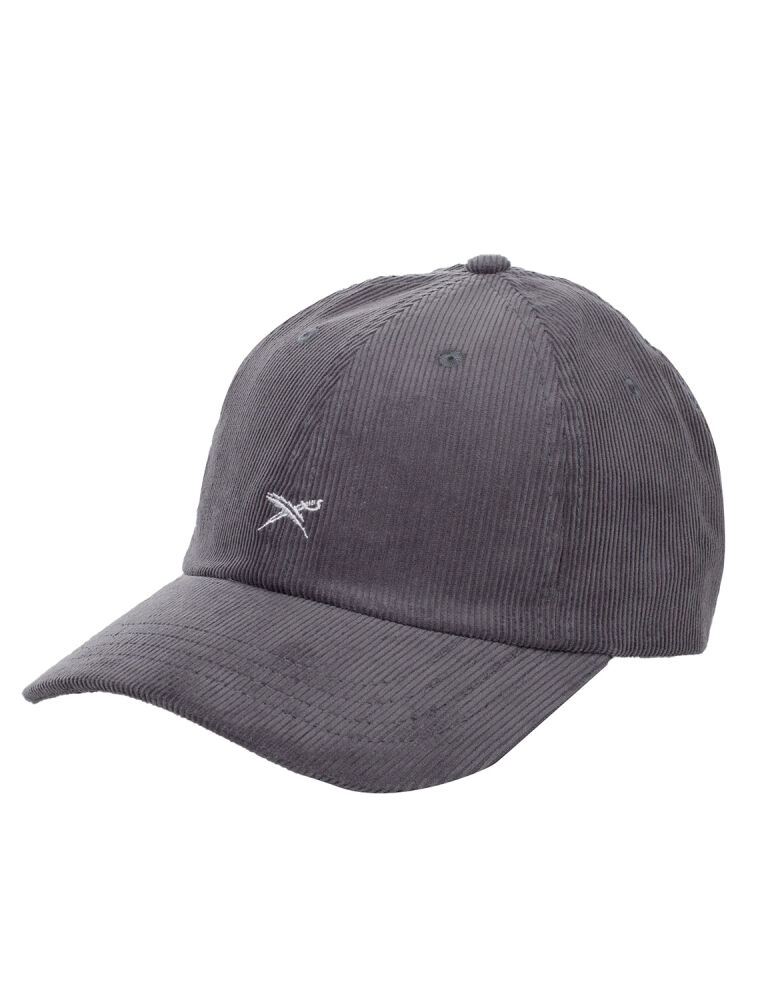 Iriedaily Corvin Dad Cap in Anthracite