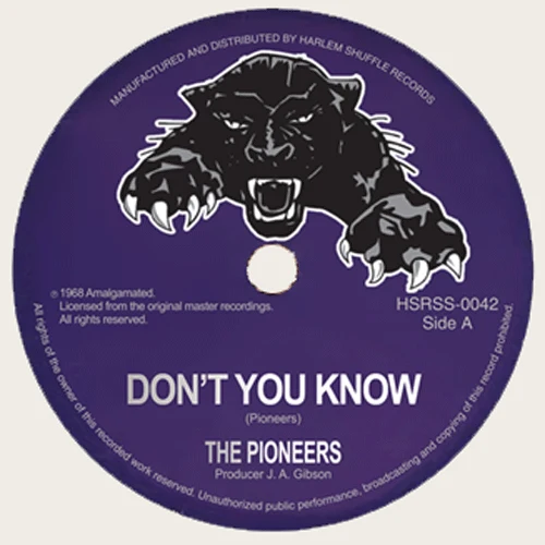 The Pioneers – Don’t You Know / Me Naw Go A Believe (7")