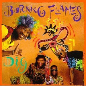 Burning Flames - Dig (LP)