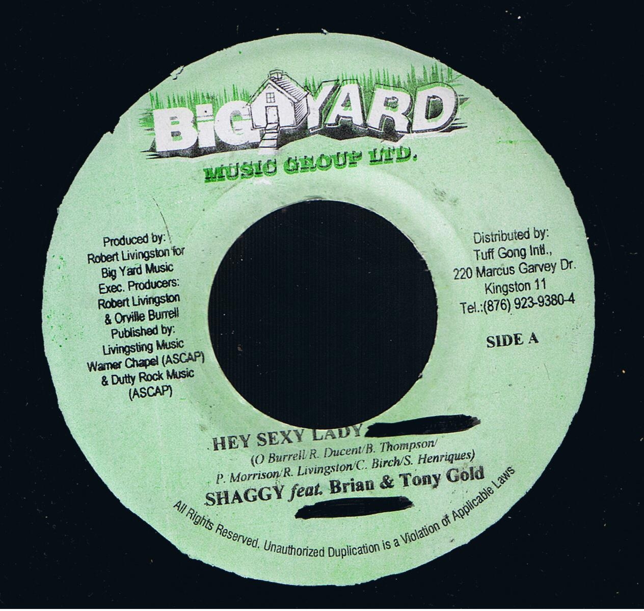 Shaggy feat. Brian & Tony Gold - Hey Sexy Lady / Version (7") 