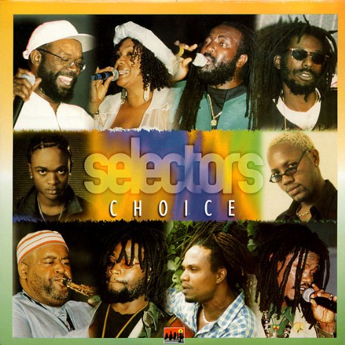 VA - Selectors Choice  (LP)