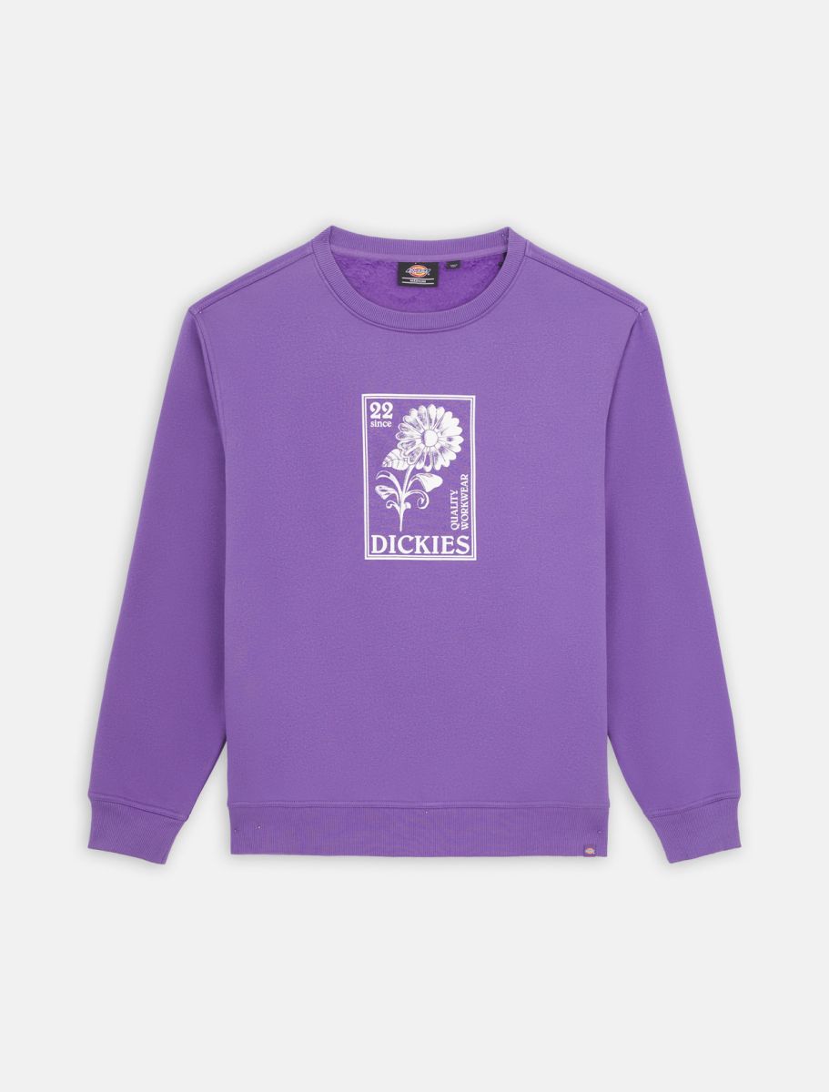 Dickies garden Plain Sweatshirt in Imperial Palast 