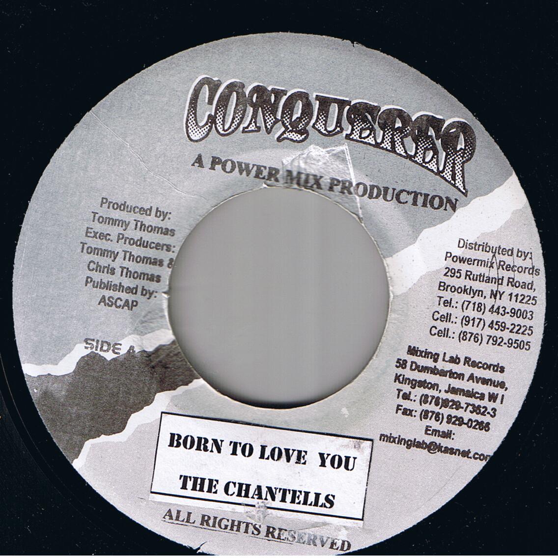 The Chantells - Born To Love You / Version (7")