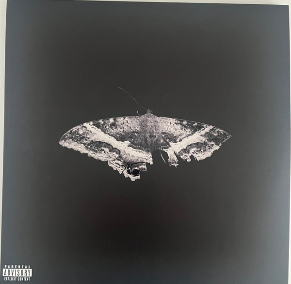 Kendrick Lamar – To Pimp A Butterfly (DOLP)     