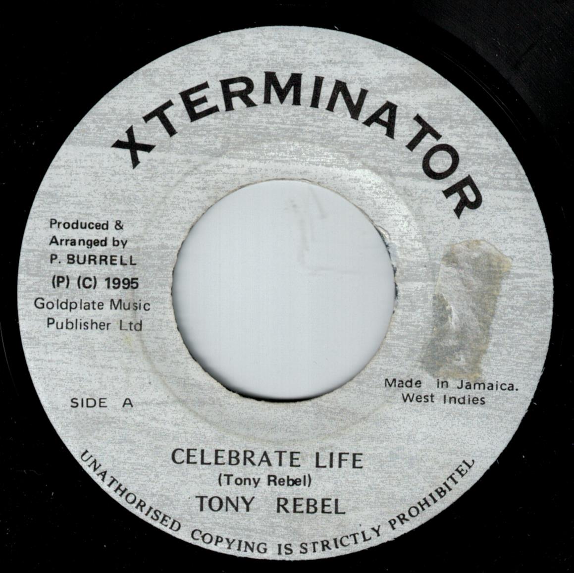 Tony Rebel - Celebrate Life / Version (7")