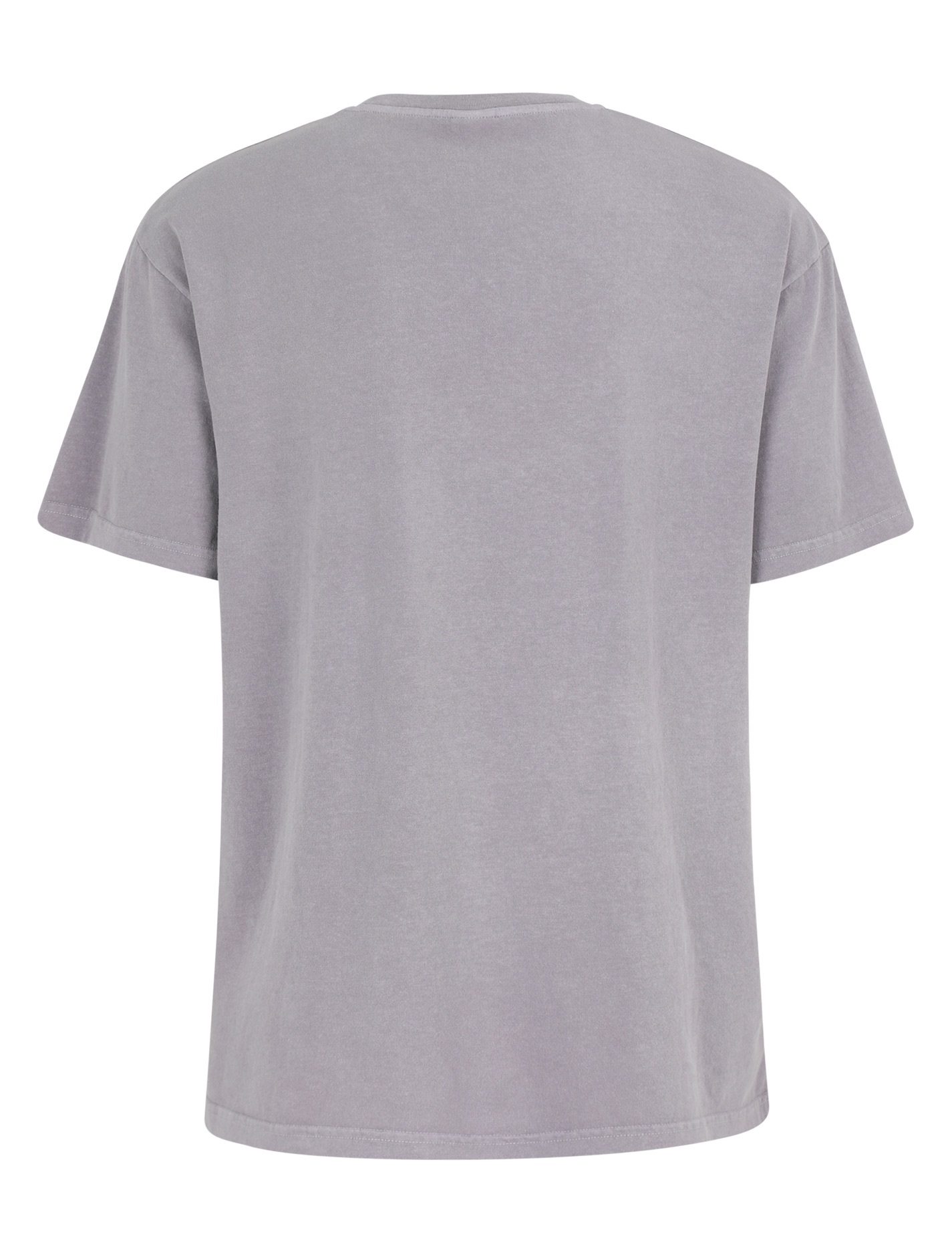 Iriedaily Waterdeeper 2 T-Shirt (Mauve)