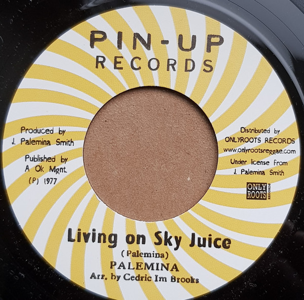 Palemina - Living On Sky Juice / Version (7")